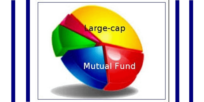 Large cap mutual funds' Hemant K midha