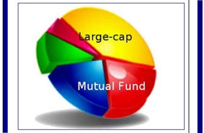 Large cap mutual funds' Hemant K midha