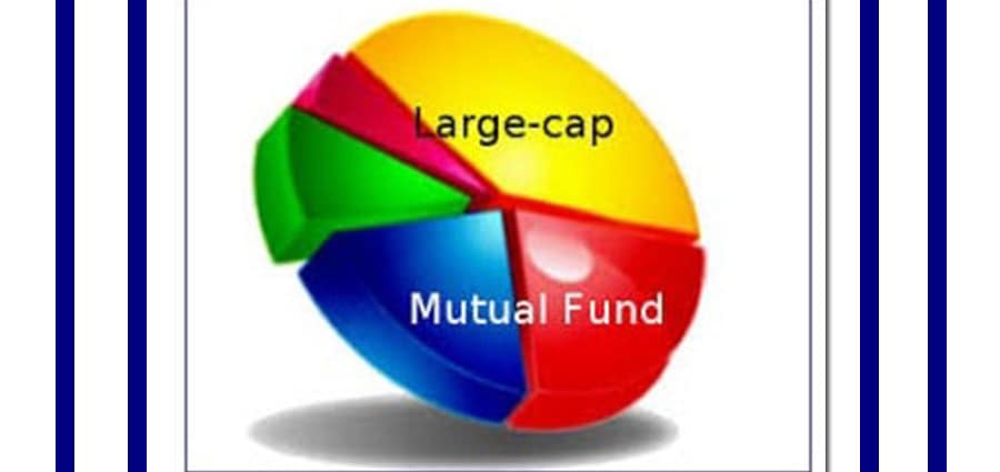 Large cap mutual funds' Hemant K midha